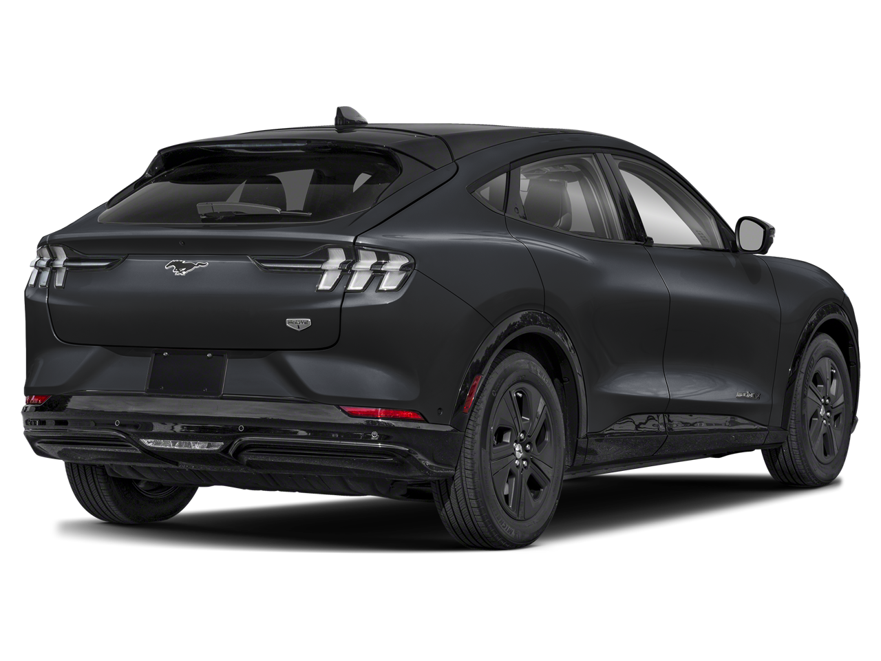 Used 2021 Ford Mustang Mach-E California Route 1 RWD with VIN 3FMTK2R78MMA30199 for sale in Asheville, NC