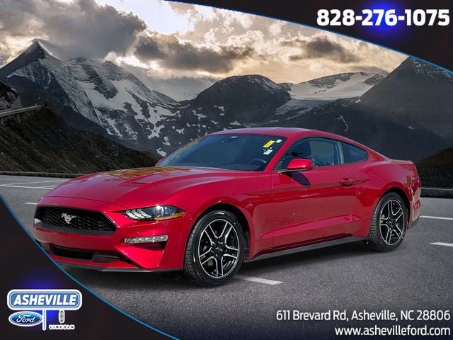 2022 Ford Mustang EcoBoost Coupe's photo